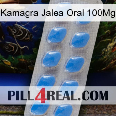 Kamagra Jelly Oral 100Mg 22